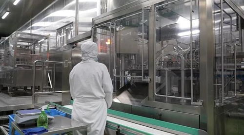 金山持续打响“湾区食谷”品牌，上海食品产业新高地加速崛起